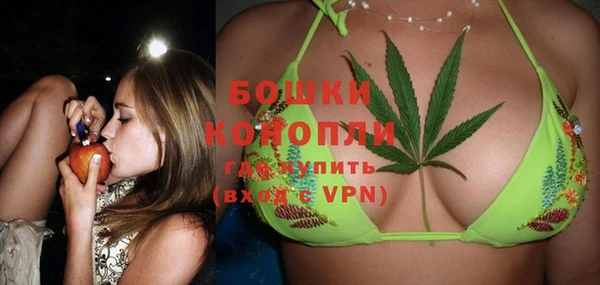 PSILOCYBIN Абдулино
