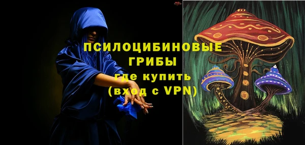 PSILOCYBIN Абдулино