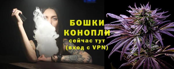 PSILOCYBIN Абдулино