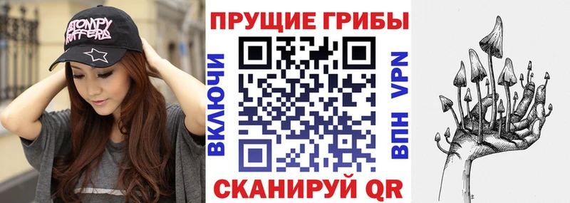 darknet формула  Дальнереченск  Галлюциногенные грибы ЛСД 